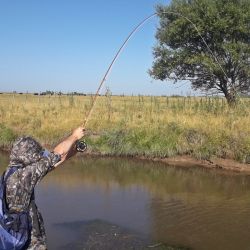 Hoy, empezar a pescar con mosca puede significar lo mismo, en costos, que incursionar con la variada en el mar o la pesca de pejerreyes embarcados.