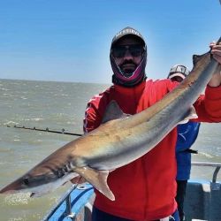 El clima no ayuda, pero la pesca se mantiene excelente en un mes de noviembre que se destacó por la buena pesca de cazones. 