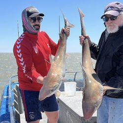 El clima no ayuda, pero la pesca se mantiene excelente en un mes de noviembre que se destacó por la buena pesca de cazones. 