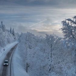 Un automóvil conduciendo por una carretera rodeada por un bosque cubierto de nieve en las montañas de los Vosgos, cerca de Saint-Maurice-sur-Moselle. Foto de SEBASTIEN BOZÓN / AFP  | Foto:AFP