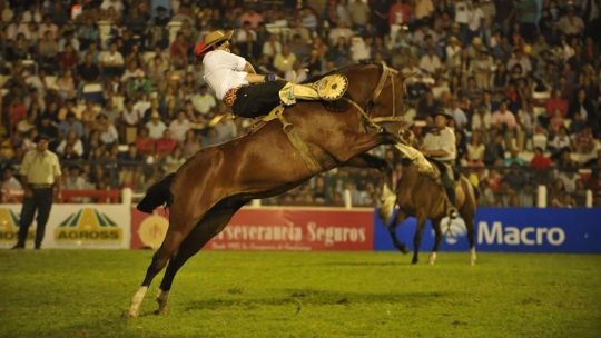 Virus de los caballos: alerta y temor en los festivales de doma de Córdoba