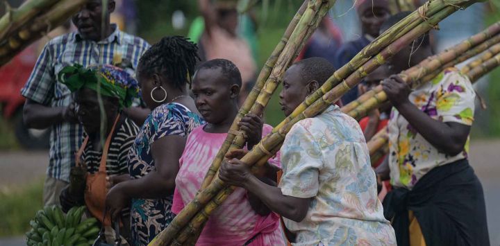 Mujeres que venden caña de azúcar se acercan a un vehículo en el mercado de carretera de Ekerorano en Kisii. Foto de SIMON MAINA / AFP