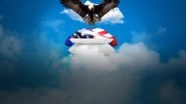 COVER_EAGLE_LANDING_ON_A_FLUFFY_US_CUSHION