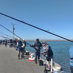 Casi 150 pescadores fueron de la partida en la última fecha del año en Quequén para las entidades federadas bonaerenses.