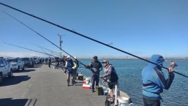 Casi 150 pescadores fueron de la partida en la última fecha del año en Quequén para las entidades federadas bonaerenses.