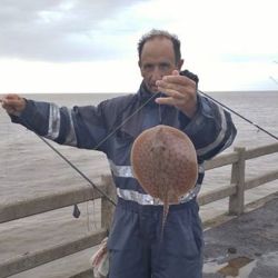 Los vientos que estuvieron soplando del sector ESE con mucha intensidad beneficiaron al fanático pescador de los pejerreyes. 