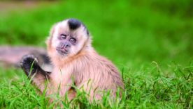 0712_MONOS