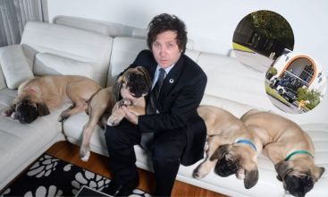 Conan, Murray, Milton, Robert y Lucas los perros de Javier Milei que disfrutaran la Quinta de Olivos