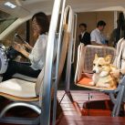 Honda Wow, el auto "pet friendly" que nunca llegó a ser fabricado en serie