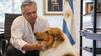 Alberto Fernández y su perro, Dylan