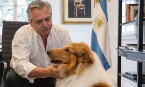Alberto Fernández y su perro, Dylan