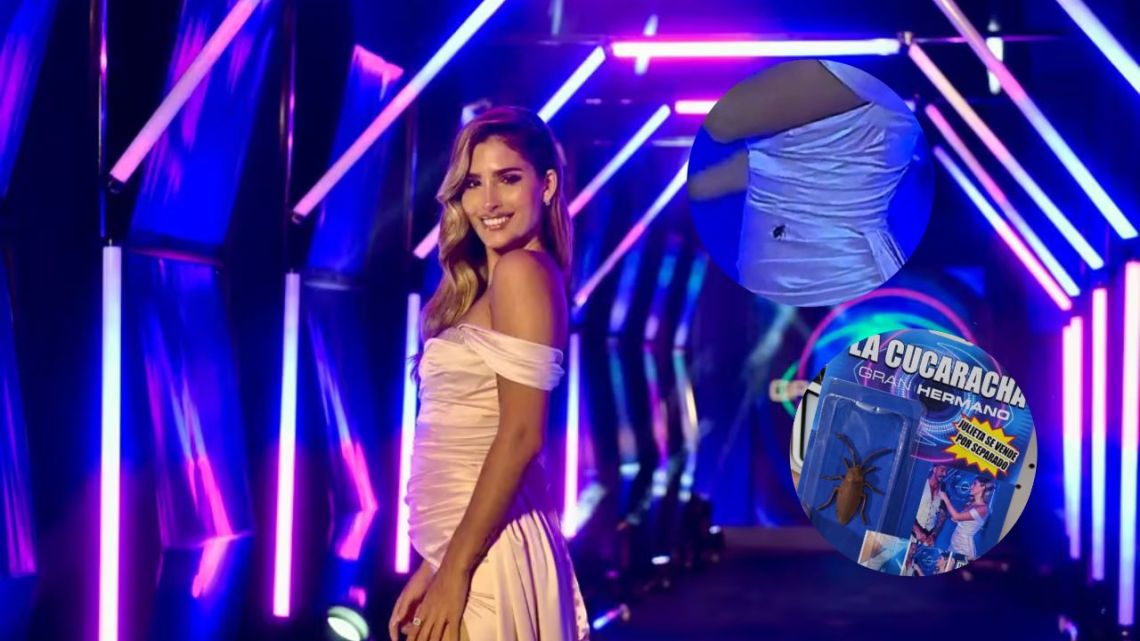 Crearon un juguete de la cucaracha que se le colgó a Julieta Poggio en ...