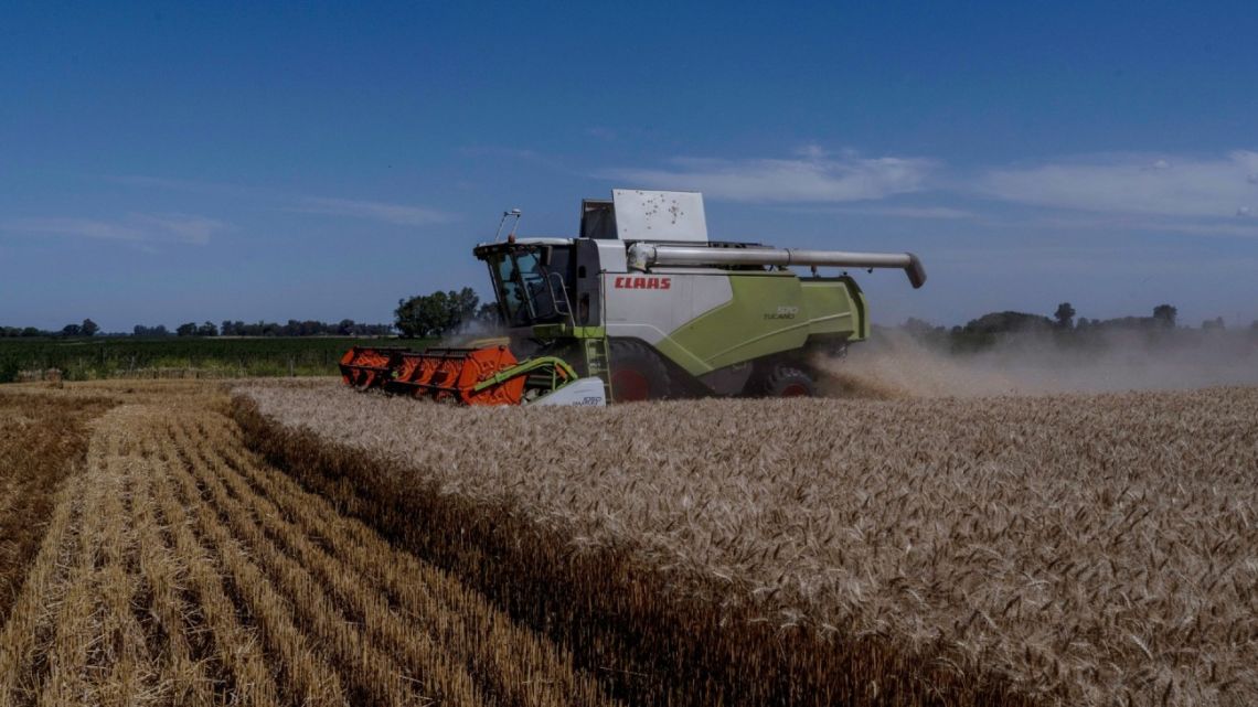 A harvester cuts wheat in Bragado, Buenos Aires Province.