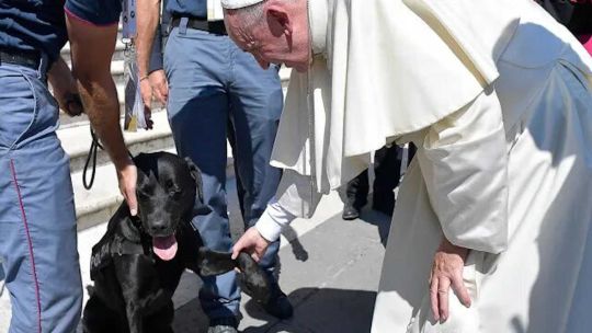 El papa Francisco criticó a quienes prefieren tener mascotas y no hijos