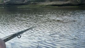 1412_PESCA