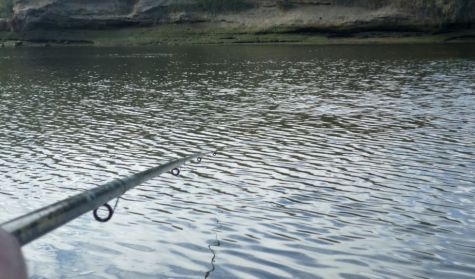 1412_PESCA