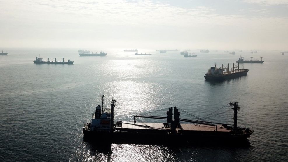 Elizondo sobre la desregulación naval: "Aumentaría la oferta y reduciría los costos logísticos que hoy son muy altos"