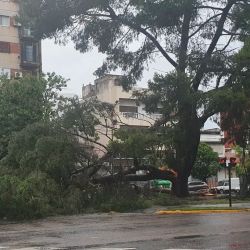 A powerful storm that swept across Buenos Aires City and Province, downing trees across the capital.