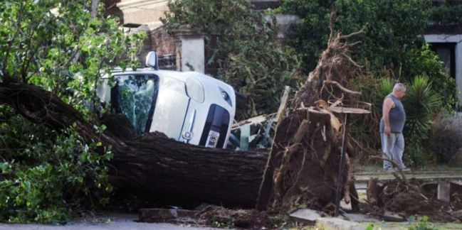 Arboles y postes de luz caídos, autos y casas dañados, postal del fin de semana en miles de lugares.