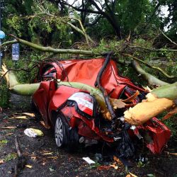 Vista de un automóvil aplastado por un árbol caído tras una fuerte tormenta que azotó Buenos Aires. En la ciudad portuaria de Bahía Blanca, a unos 600 kilómetros al suroeste de Buenos Aires, la poderosa tormenta provocó la muerte de al menos 13 personas. personas cuando se desplomó el techo de un club deportivo, dijeron las autoridades. | Foto:ALEJANDRO PAGNI / AFP