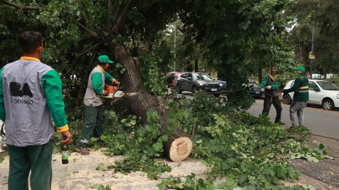 Tormenta siguen los operativos en CABA para remover árboles y liberar