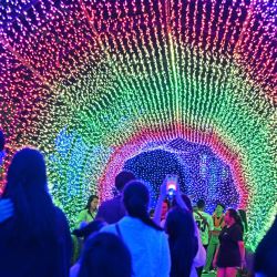 Personas observan las instalaciones de luces para Navidad en los Jardines de la Bahía de Singapur. | Foto:Xinhua/Then Chih Wey