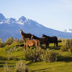Ushuaia ofrece uno de los paisajes más lindos durante el verano.