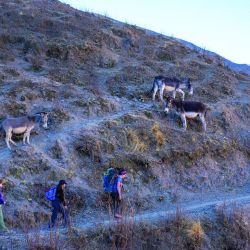 Trekking de cinco dìas que parte de Iriya y termina en Nazareno.