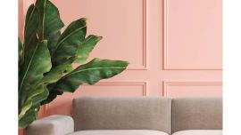 Pintura Express: ¡Ya tenemos el color tendencia para 2024! ¿Cómo aplicarlo al hogar? - Brand