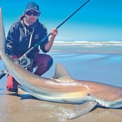 Tiburones y toda la pesca de verano en revista Weekend de enero 2024.