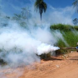 Fumigación contra el mosquito aedes aegypty transmisor de la enfermedad del dengue. Barrio 17 de agosto en Corrientes capital. | Foto:Télam/Germán Pomar