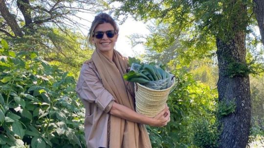 Détox para la piel después de las fiestas de fin de año y el batido de Juliana Awada que te va a ayudar