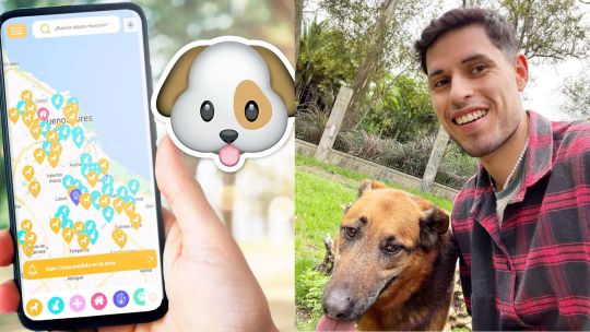 Desarrollan la primera app de búsqueda de mascotas en el país