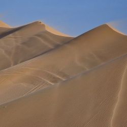 Las dunas de Pinamar.