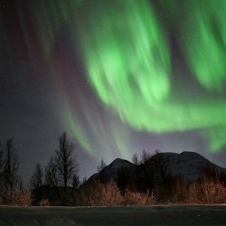 La aurora boreal ilumina el cielo sobre un campamento sami en las afueras de la aldea de Breivikeidet, cerca de Tromso, Noruega, más allá del Círculo Polar Ártico. | Foto:Sergei Gapon / AFP