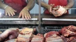 El Senasa habilitó la exportación de los 7 cortes de carne “populares” prohibidos durante la gestión de Fernández