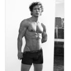 Jeremy Allen White ropa interior