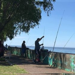La costanera de esta localidad de Ensenada es un excelente lugar para la práctica de la pesca deportiva.