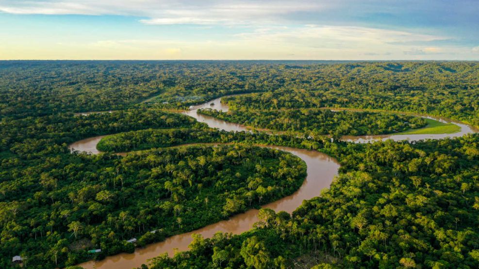 Amazonas 20240105