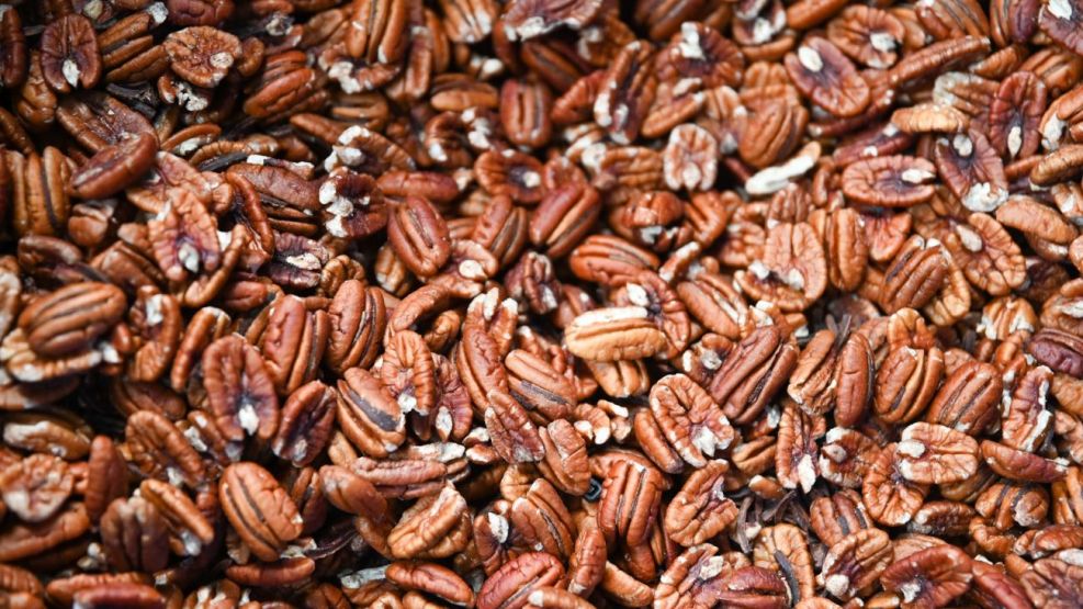 Nueces de exportación