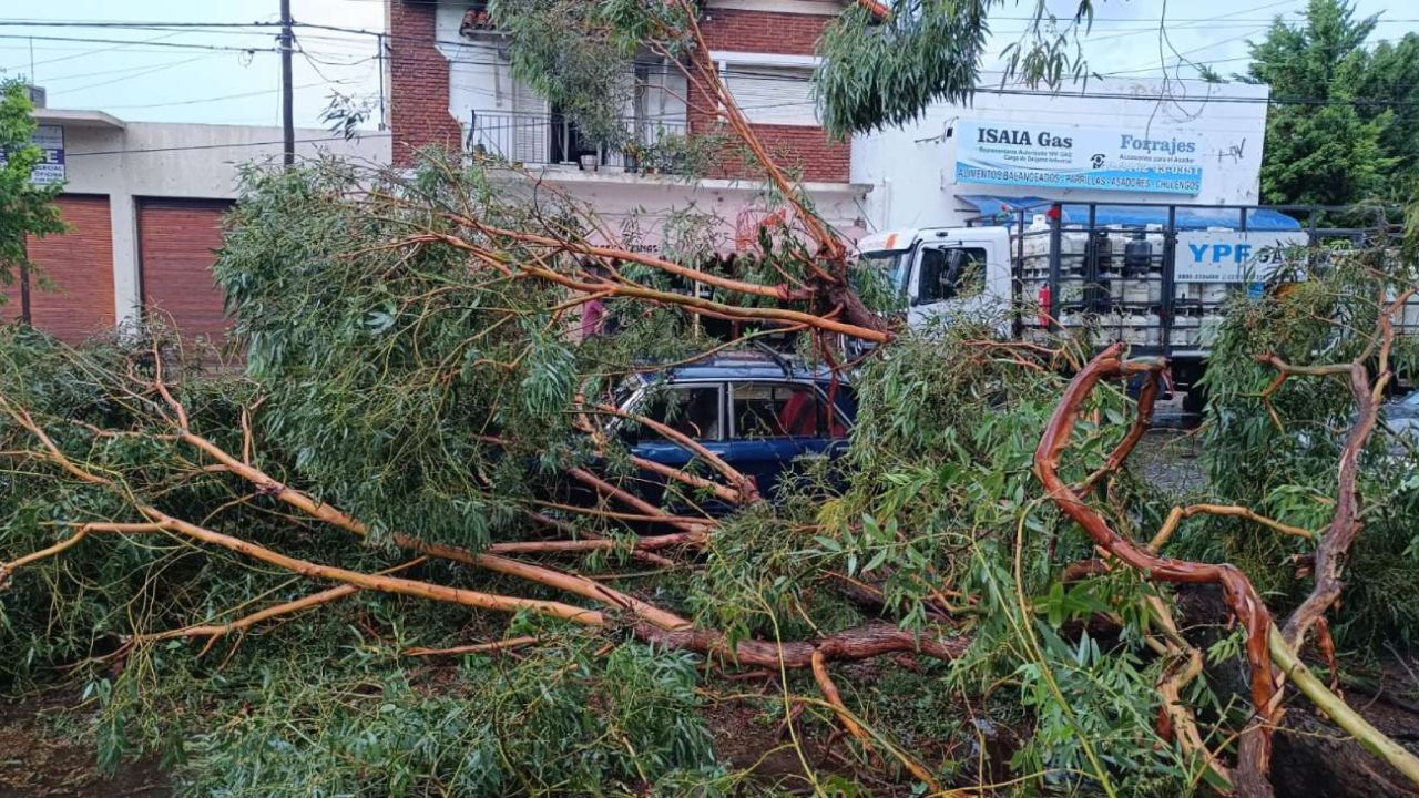 Un temporal de lluvia y granizo arrasó Miramar: hubo un fallecido, destrozos y cortes de luz masivos | Perfil