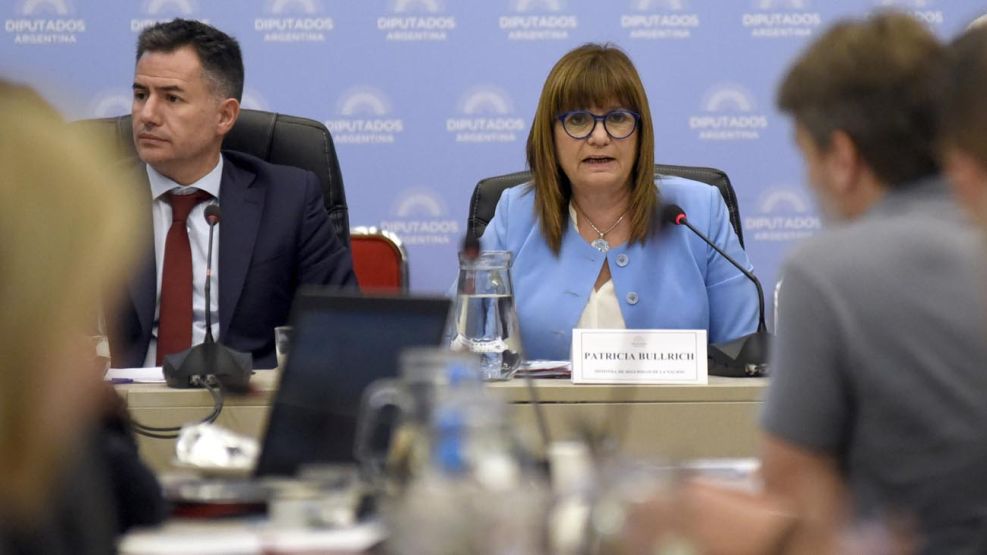 Patricia Bullrich en Diputados