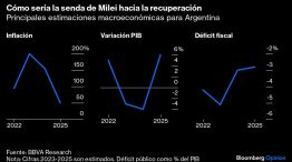 Cómo sería la senda de Milei hacia la recuperación | Principales estimaciones macroeconómicas para Argentina