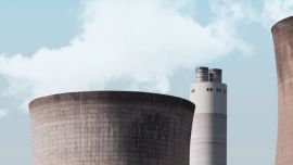 01-11_5 prácticas para compensar los daños ambientales