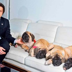 Milei y sus perros clonados | Foto:Cedoc