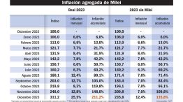 2023_01_13_inflacion_milei_infografiagp_g