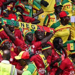 Los seguidores de Senegal saludan durante el partido de fútbol del grupo C de la Copa Africana de Naciones (CAN) 2024 entre Senegal y Gambia en el Stade Charles Konan Banny en Yamoussoukro. | Foto:Issouf Sanogo / AFP