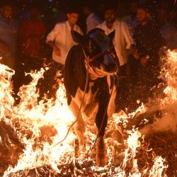 Los hombres conducen una vaca sobre un pajar en llamas como ritual para buscar fortuna y protección para los dueños de ganado con motivo del festival hindú de Makar Sankranti en Bengaluru, India. | Foto:IDREES MOHAMMED / AFP
