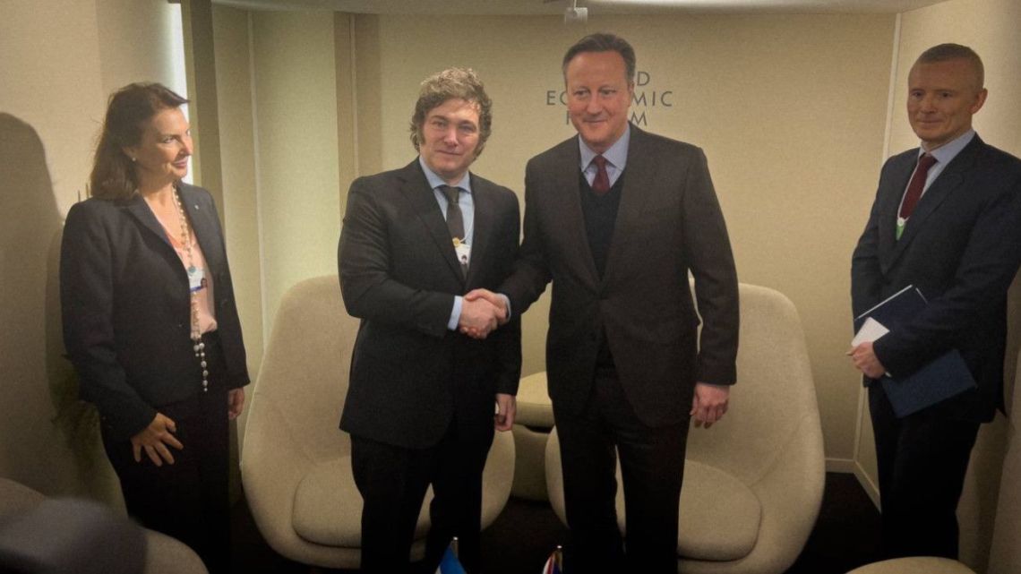President Javier Milei meets with UK Foreign Secretary David Cameron on the sidelines of the World Economic Forum in Davos on January 17, 2024.