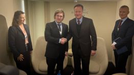 Javier Milei junto a David Cameron